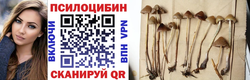 Галлюциногенные грибы Cubensis  omg ССЫЛКА  Хвалынск 